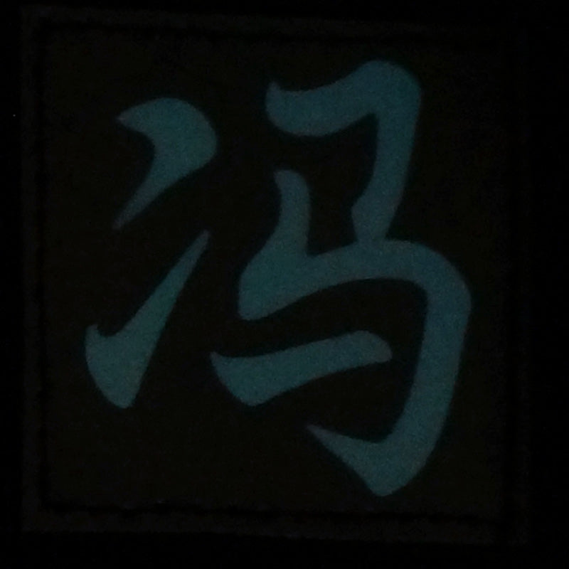 CHINESE SURNAME GLOW IN THE DARK PATCH - FENG 冯