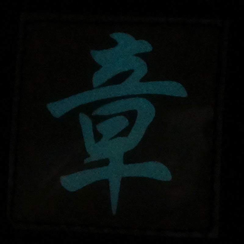 CHINESE SURNAME GLOW IN THE DARK PATCH - ZHANG 章