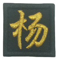 CHINESE SURNAME 杨 YANG PATCH