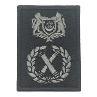 MINI SPF RANK PATCH - BLACK FOLIAGE