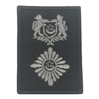 MINI SPF RANK PATCH - BLACK FOLIAGE