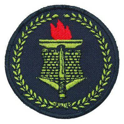 COMBAT ENGINEER PATCH - BLACK - The Morale Patches