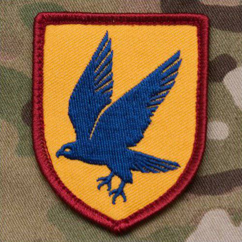 MSM BLUE FALCON PATCH - FULL COLOR - The Morale Patches